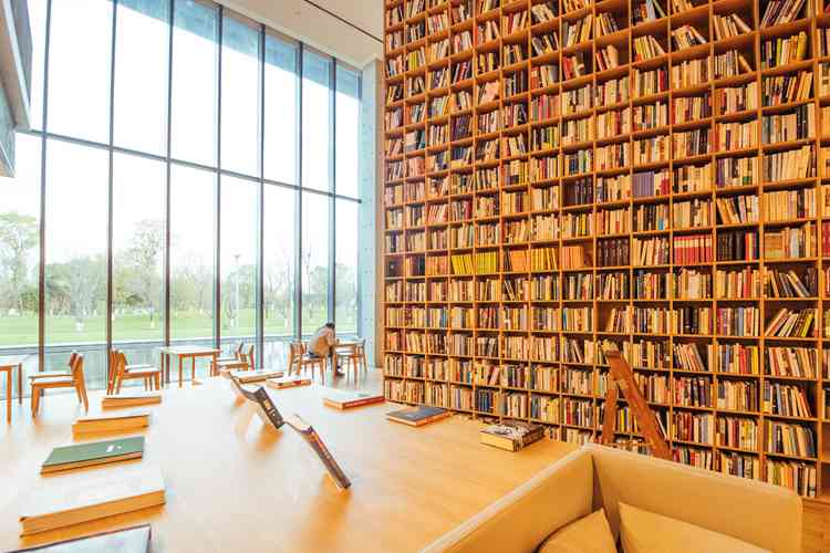 個人如何出書小說作品，筆觸下的世界，個人出版小說指南